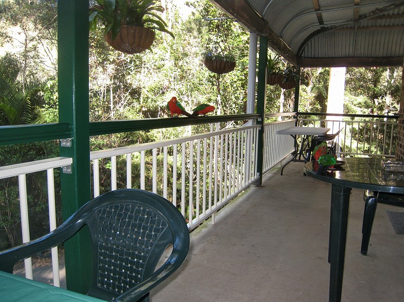 2009-11-06 22-05-14_3.jpg - Frühstück mit "Vögeln"